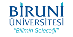 Biruni Üniversitesi