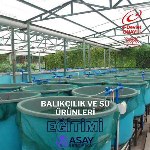 course